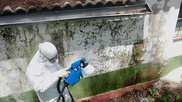 Trusted Mold Inspection service in Lyons, OR - Cheap Mold Removal